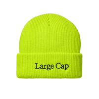 Large Cap