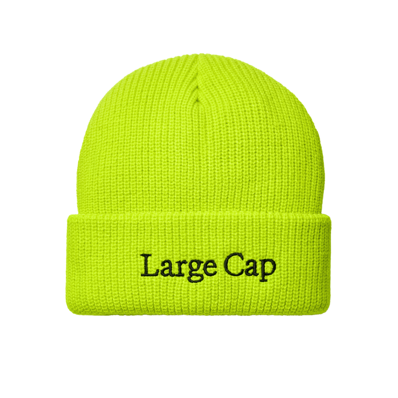 Large Cap