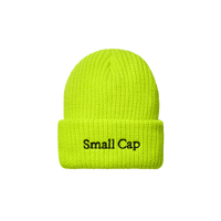 Small Cap